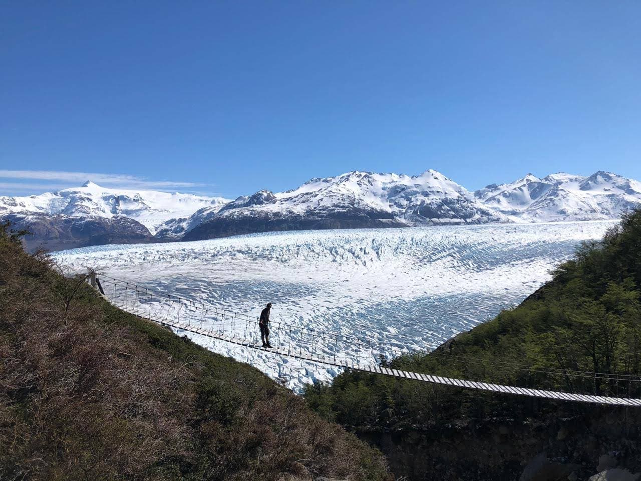 Grey Glacier Viewpoint Hike Hero
